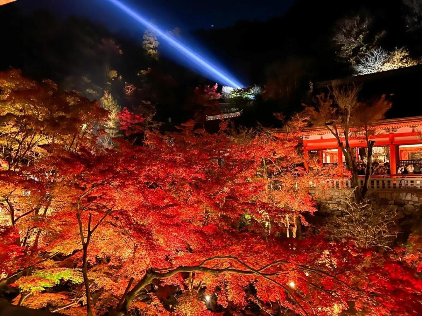 Rinn Yasaka Kodaiji Kyoto Bagian luar foto